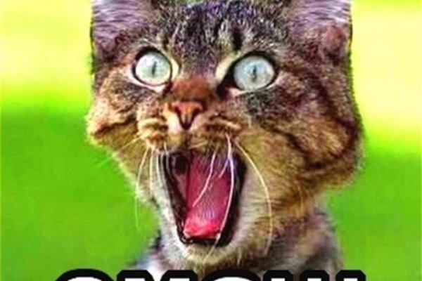 Кракен 12 сайт