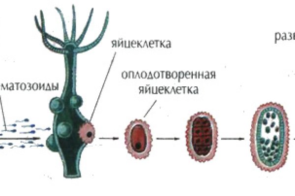 Кракен без тор