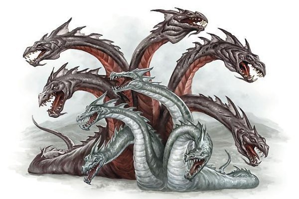 Как вывести деньги с kraken