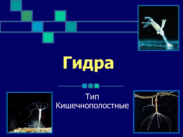 Что за маркетплейс кракен